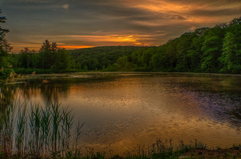 Картинка природа реки озера лес река