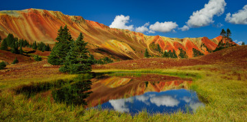 Картинка природа реки озера лес река