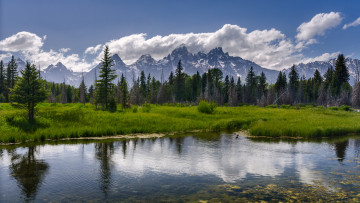 Картинка природа реки озера лес река