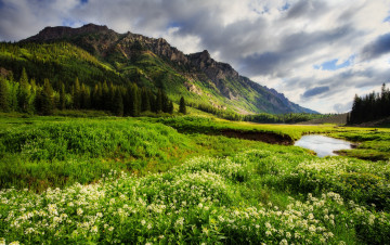 Картинка природа реки озера лес река