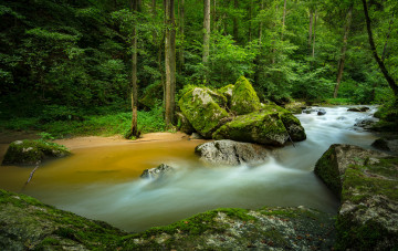 Картинка природа реки озера лес река