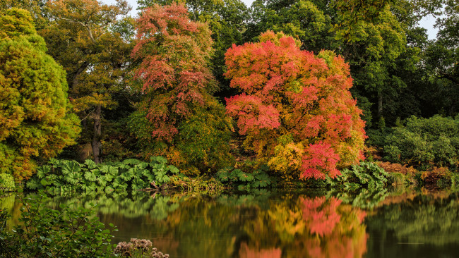 Обои картинки фото природа, реки, озера, лес, река