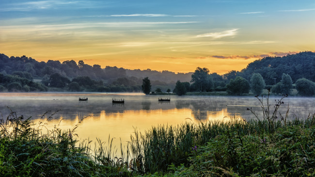 Обои картинки фото природа, реки, озера, лес, река