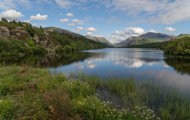 Обои картинки фото природа, реки, озера, лес, река