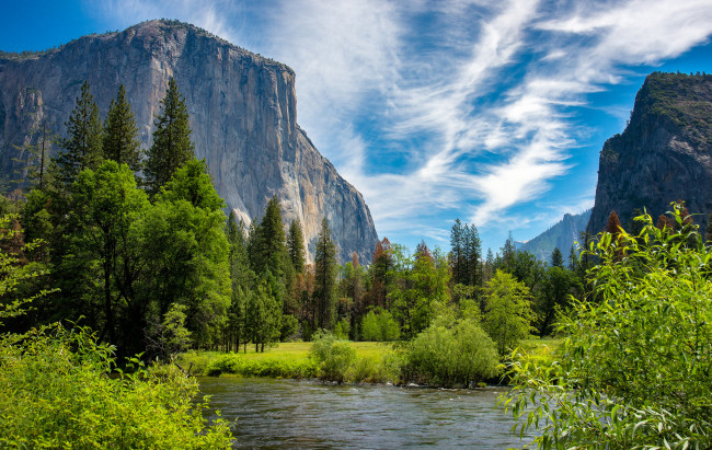 Обои картинки фото природа, реки, озера, лес, река