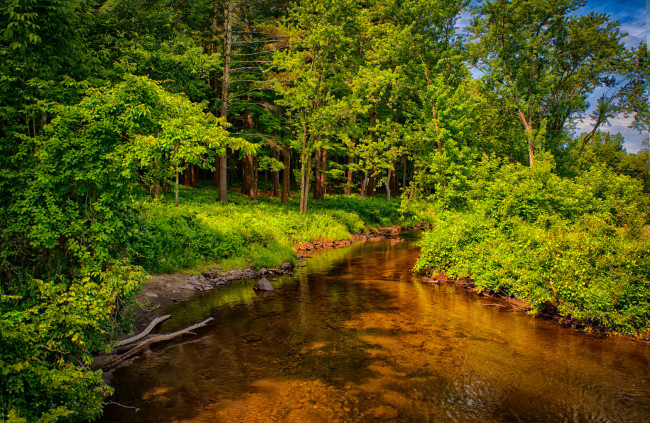 Обои картинки фото природа, реки, озера, лес, река