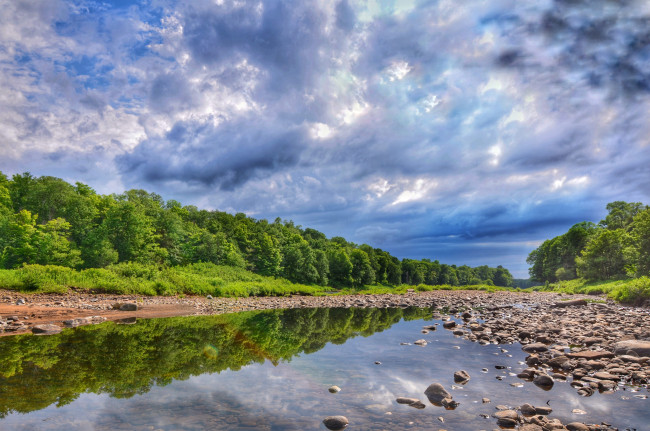 Обои картинки фото природа, реки, озера, лес, река