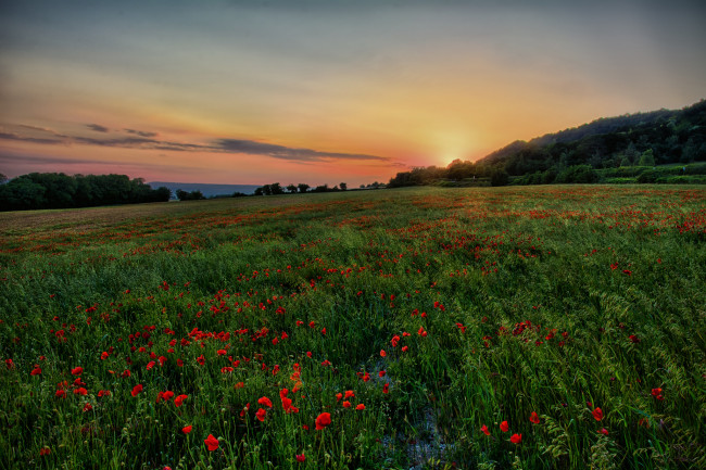 Обои картинки фото природа, восходы, закаты, рассвет