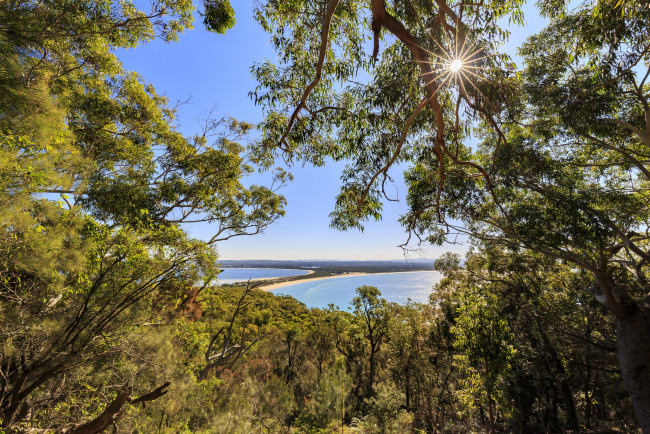 Обои картинки фото природа, реки, озера, лес, река