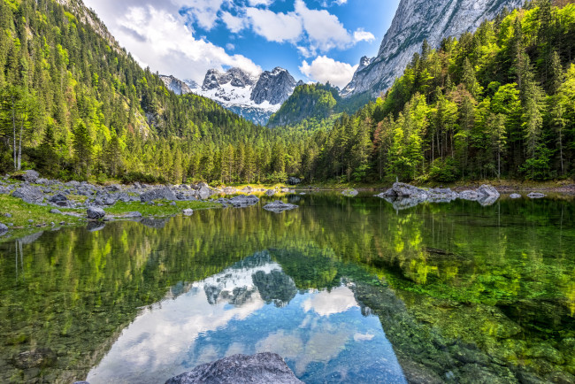 Обои картинки фото природа, реки, озера, лес, река