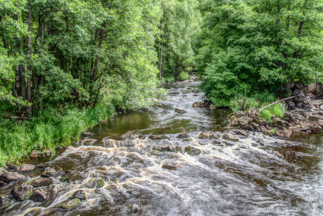 Обои картинки фото природа, реки, озера, лес, река