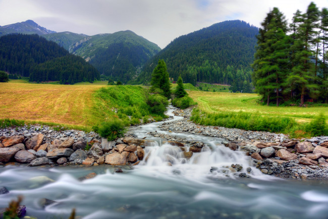 Обои картинки фото природа, реки, озера, лес, река