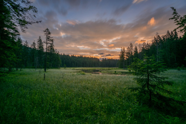 Обои картинки фото природа, реки, озера, лес, река