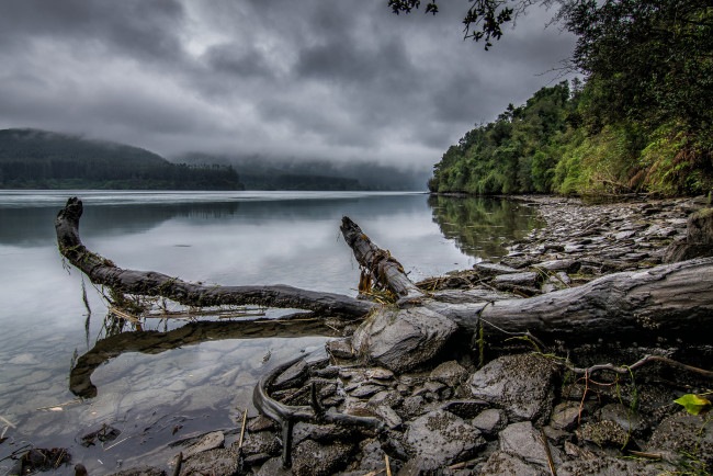 Обои картинки фото природа, реки, озера, лес, река