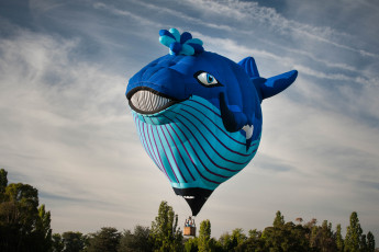 Картинка авиация воздушные+шары аэростат