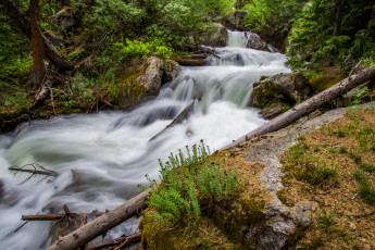 Картинка природа реки озера простор