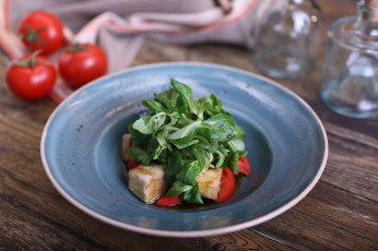 Картинка еда салаты +закуски сыр закуска помидор зелень салат