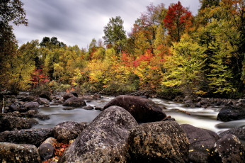 Картинка природа реки озера простор