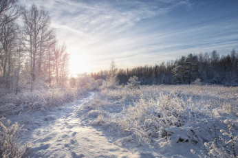 Картинка природа зима простор