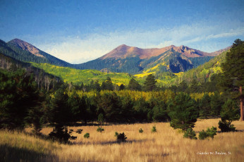 Картинка разное компьютерный+дизайн дизайн природа елки деревья горы