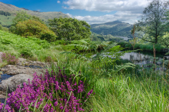 Картинка природа пейзажи простор