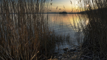 Картинка природа реки озера простор