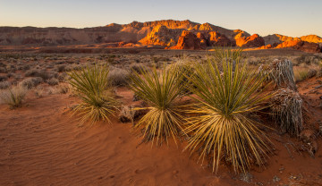 Картинка природа пустыни простор