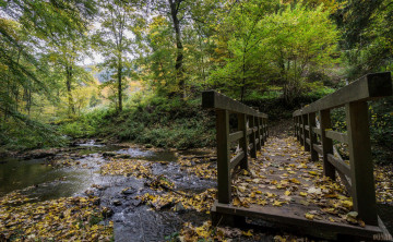 Картинка природа реки озера простор