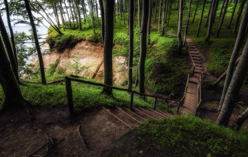 Картинка природа дороги простор