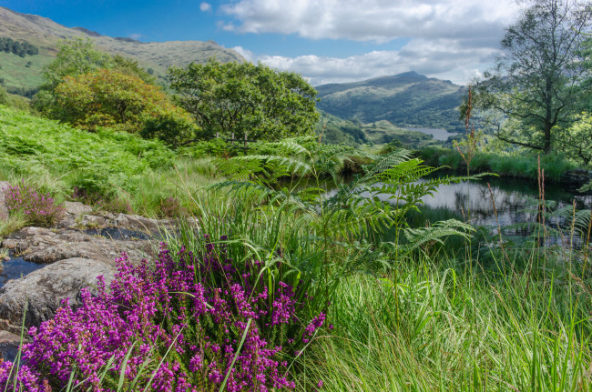 Обои картинки фото природа, пейзажи, простор