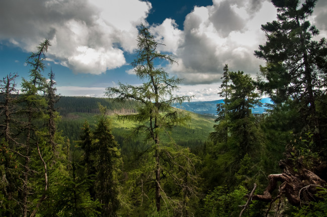 Обои картинки фото природа, пейзажи, простор