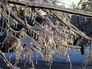 Картинка природа зима снег