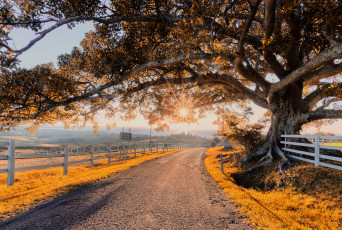 Картинка природа дороги простор