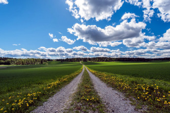 Картинка природа дороги дорога проселочная