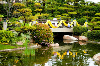 Картинка природа парк водоем мостик