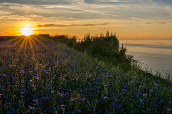 Картинка природа восходы закаты простор