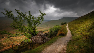 Картинка природа дороги простор