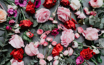 Картинка цветы разные+вместе красный розовый композиция анемоны