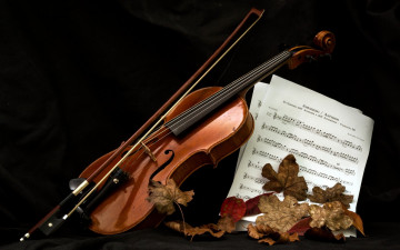 Картинка музыка -музыкальные+инструменты листья ноты скрипка