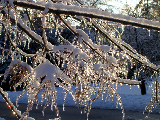 Обои картинки фото природа, зима, снег