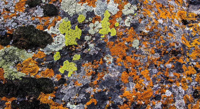 Обои картинки фото разное, текстуры, камень, цвет, глыба