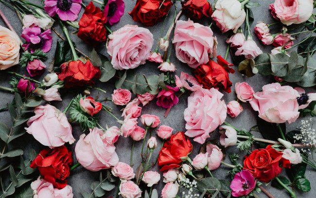 Обои картинки фото цветы, разные вместе, красный, розовый, композиция, анемоны