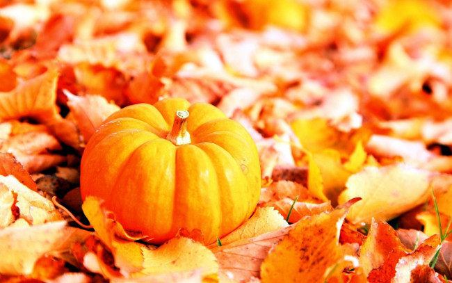 Обои картинки фото еда, тыква