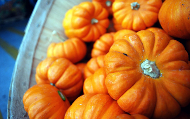 Обои картинки фото еда, тыква