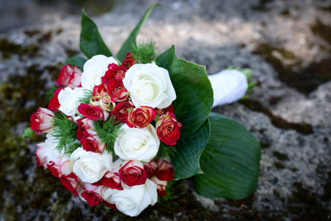 Обои картинки фото цветы, букеты,  композиции, зелень, розы