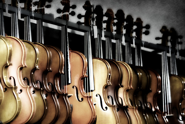 Обои картинки фото музыка, -музыкальные инструменты, скрипка