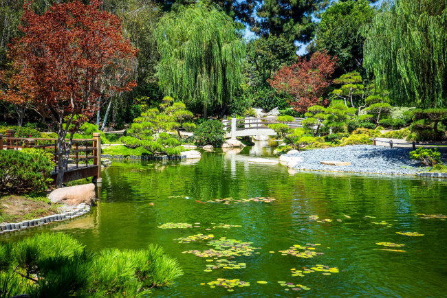 Обои картинки фото природа, парк, японский, сад