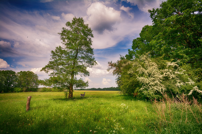 Обои картинки фото природа, пейзажи, простор