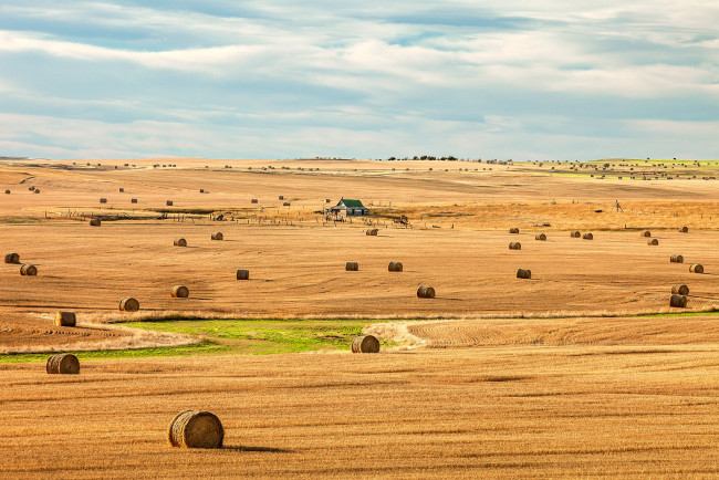 Обои картинки фото природа, поля, поле