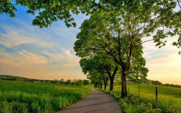 Картинка природа дороги шоссе